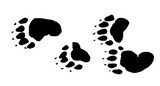 Paw Prints
