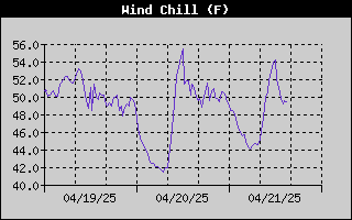Wind Chill History